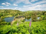 Summer Time Tarn Hows
