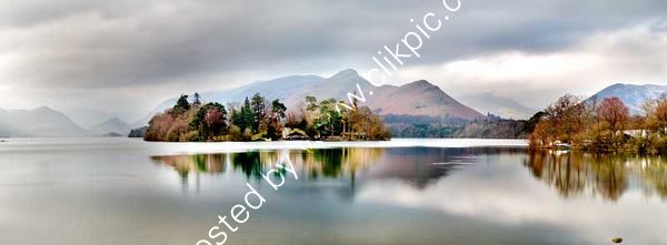 Moody Cat Bells