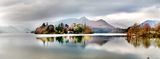 Moody Cat Bells