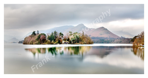 Moody Cat Bells