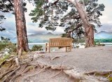 Friar`s Crag