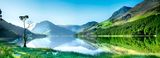 Lone Tree On Buttermere