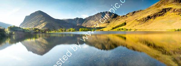 Buttermere Pines