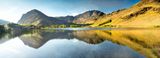 Buttermere Pines