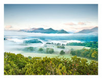 Early Mist From Castlehead