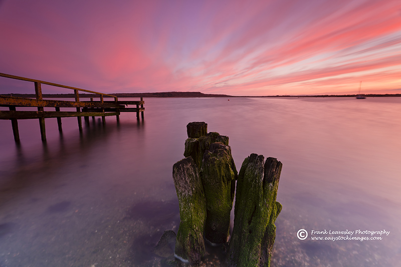 Christchurch Harbour Stumps
