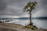 Lonely By The Loch