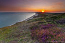 Sunset on the Heather
