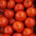 areopolis market tomatoes