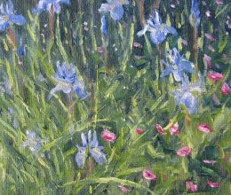 Ann Folkard among the Irises