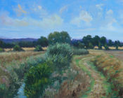 August afternoon beside The Rother