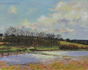 After the rain- Winter 2013/14. Bodiam.