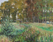 Campsite beside the river, Bodiam