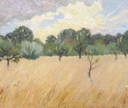 In the orchard - late afternoon, late July