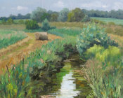 June afternoon beside The Rother