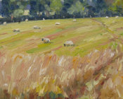 Late afternoon, Benenden