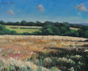 Summer sun & shadows, Rolvenden