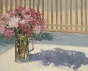 Sweet Williams in the Sun