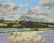 The Flooded Sports Field, Bodiam Valley