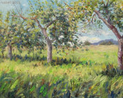 The Old Apple Orchard, September