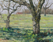 The Old Apple Orchard - early April