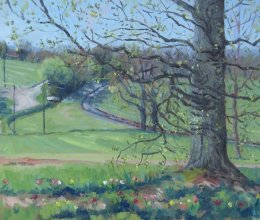 View from The Hub at Bodiam