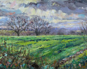 Winter sun rays, Hawkhurst