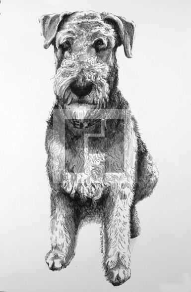 Archie