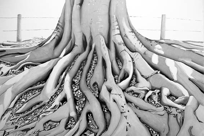 Roots: Gum tree, Yarra Bend Park, Melbourne, Victoria