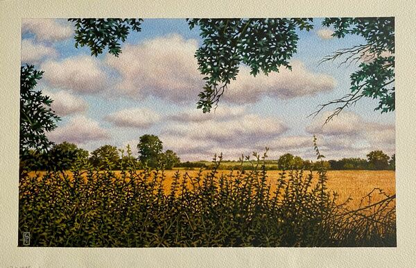'HEDGEROW' Original Watercolour Painting