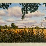 NEW! 'HEDGEROW' Original Watercolour Painting