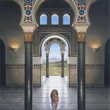 NEW! 'Alcazar'