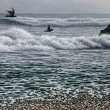 'Moonstone Beach'