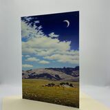 NEW CARD! 'The Sheltering Sky'