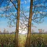 NEW! 'Threshold' Jigsaw Puzzle