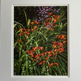 NEW! 'MONTBRETIA" Original Watercolour Painting