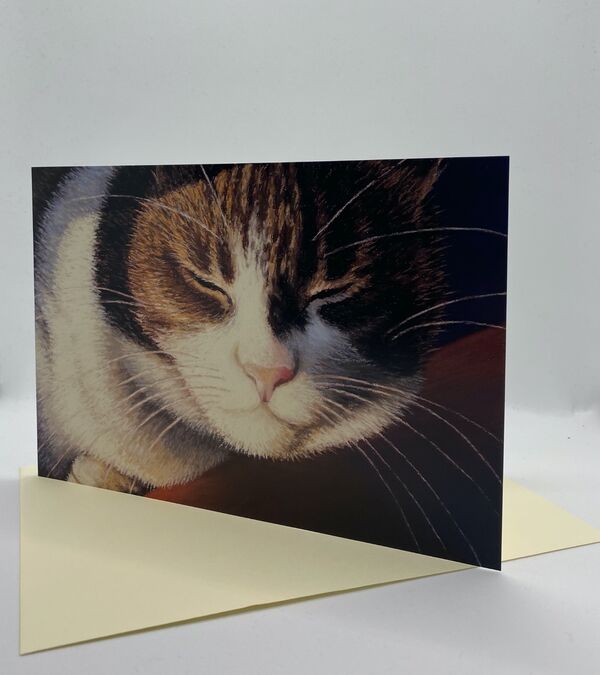 NEW CARD! 'Catnap'