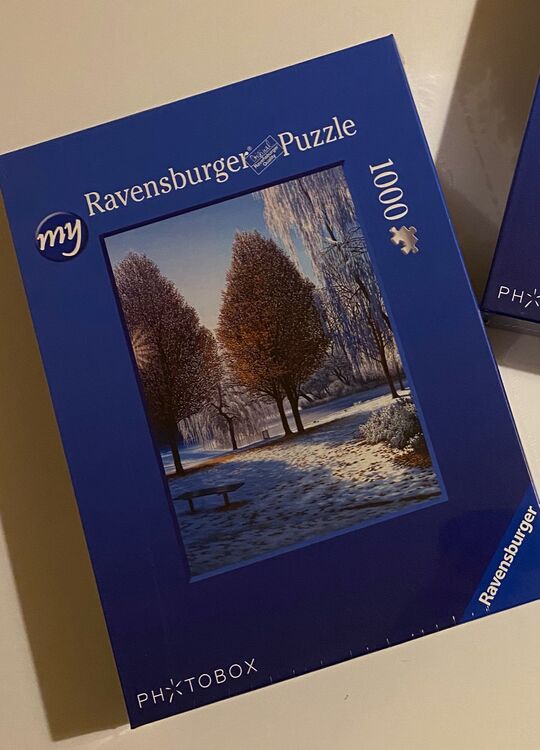 'Winter Sun (Hanley Park series)' jigsaw puzzle