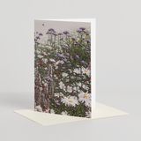CARD: 'Flora & Fauna'