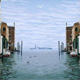 NEW! CARD: 'Il Mondo a Galla'