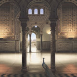 CARD: 'Alcazar Palace'