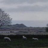 'Pasture'
