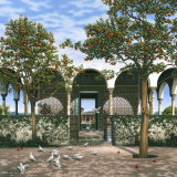 CARD: 'Under Open Skies'