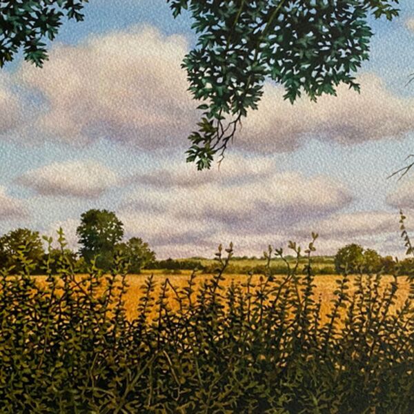 'Hedgerow'