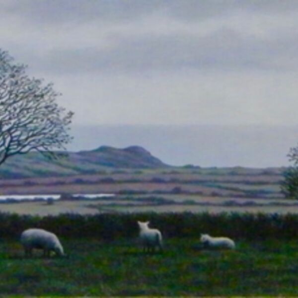 'Pasture'
