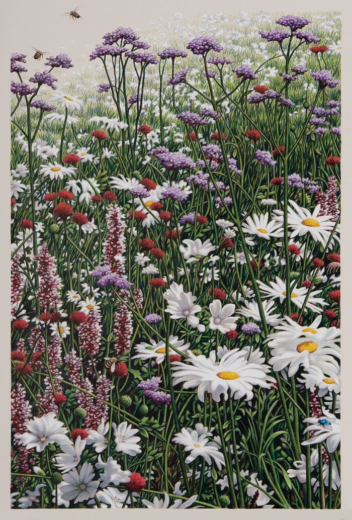 'Flora & Fauna'