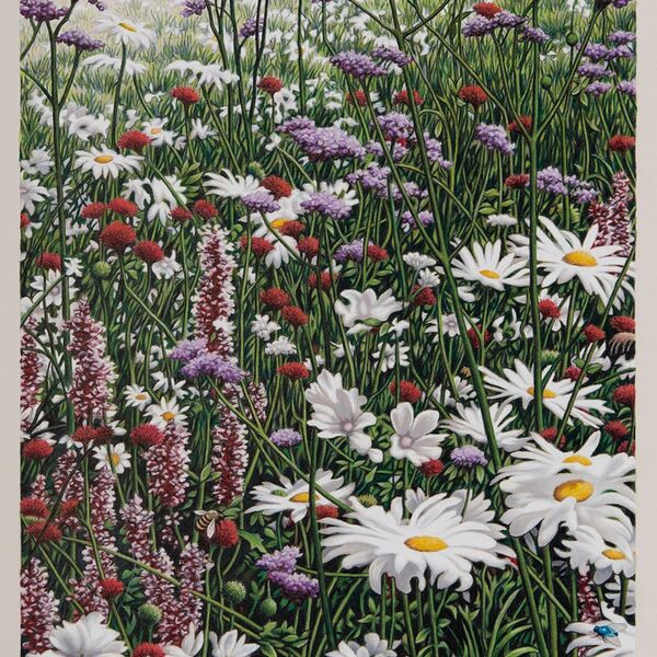'Flora & Fauna'