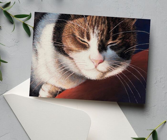 CARD: 'Catnap'