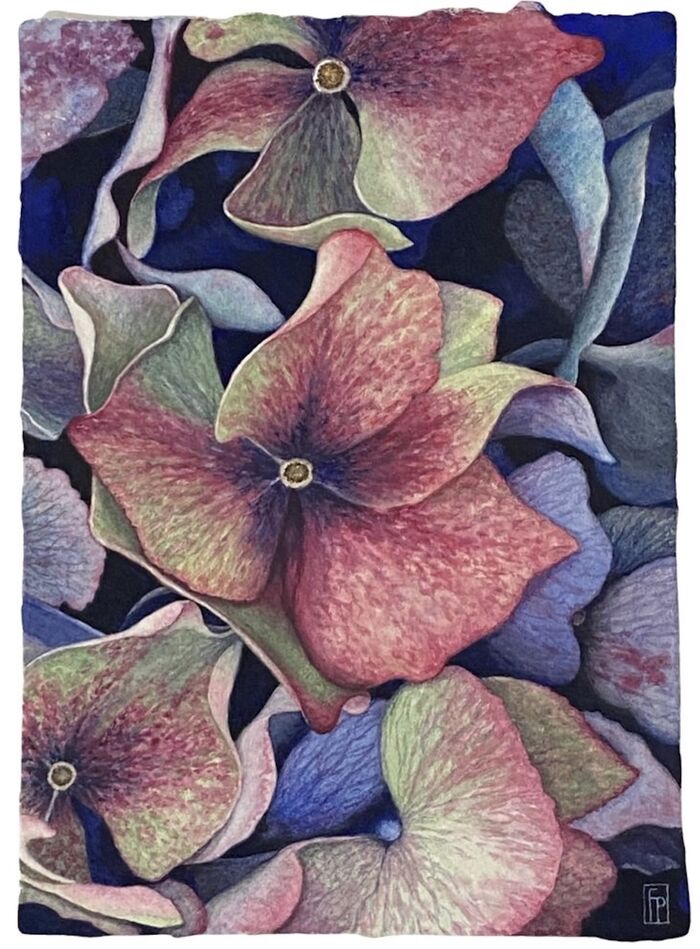 'Close Up'