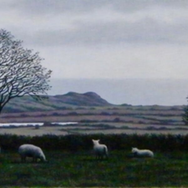 'Pasture'